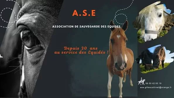 Logo de A.S.E.